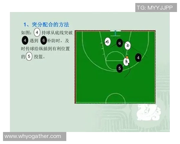 广州篮球队中路突破战术解析与球队未来发展展望