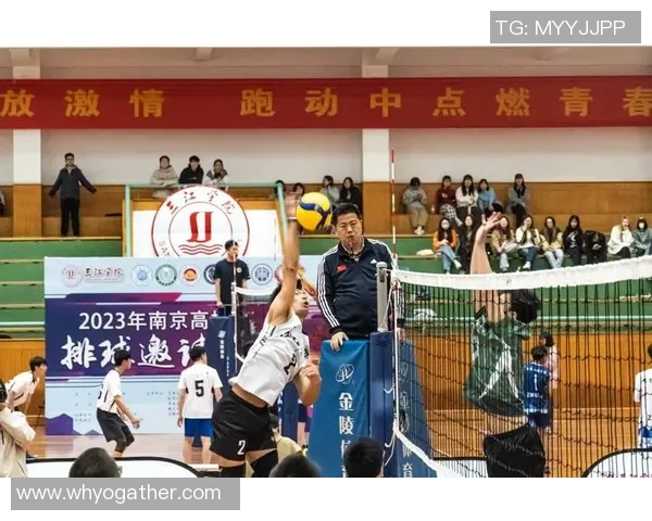 重庆排球队的奋斗历程与世界锦标赛的辉煌成就揭秘