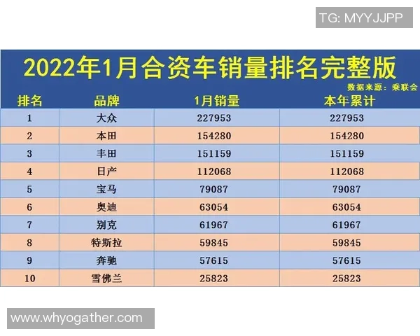 深圳排球队在洲际杯积分榜中以50分稳居第一名表现出色